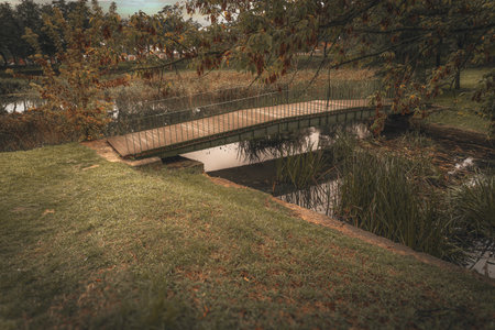 Bridge over the pond in the park with green grass and trees.の写真素材