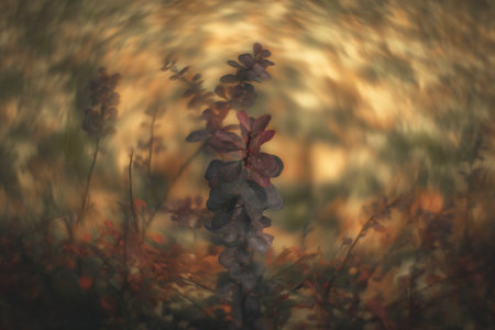 abstract autumn background with bokeh defocused lights and shadowの写真素材