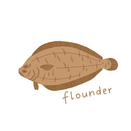 Flounder illustration in cartoon style. Sea fish isolated on white background.のイラスト素材
