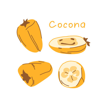 South american cocona fruit isolated on white background. whole fruit, half fruit, cut.のイラスト素材