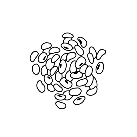 Illustration of handful of beans in line-art style. Outline beans hand drawn.のイラスト素材
