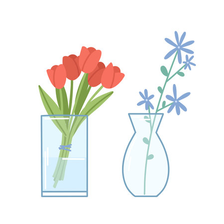 Set of two vases with flowers and water, blue buds and red tulips on a white backgroundのイラスト素材