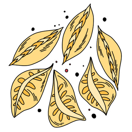 Boiled dumplings of various shapes with fillings, illustration for decorationのイラスト素材