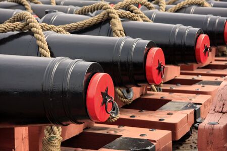 Row of canonsの写真素材