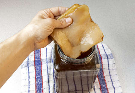 One hand holds a scoby of kombucha