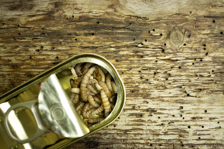 A can with fishing bait, some honey worms on wooden background, copy spaceの写真素材