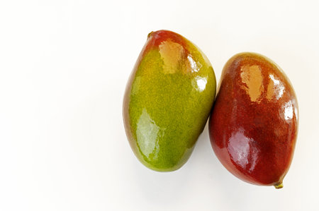 Tropical fruit, two mangoes one of them ripe and the other green on white backgroundの写真素材