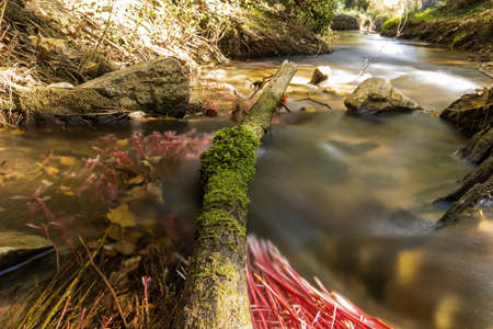 Guadalaviar river, tributary of the turia in Teruel. Silky water with green moss, a branch and copy algaeの写真素材