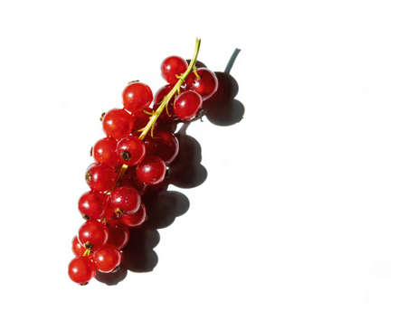 red currant isolated on white backgroundの写真素材