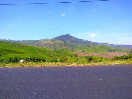 natural scenery, mountains, tea plantations in ciwidey area, indonesiaの写真素材