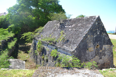 Amoryの写真素材