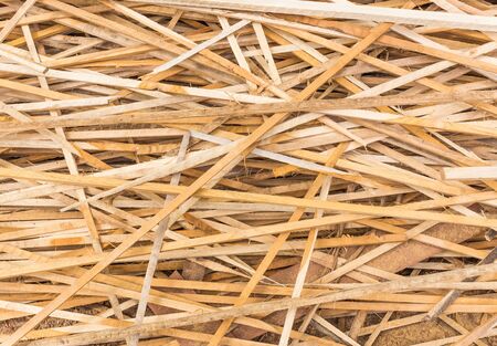 wood texture 