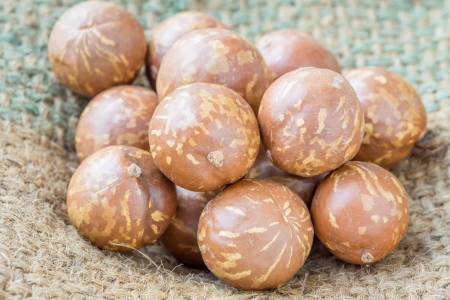 Macadamia Nuts