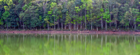Reflection of forest in lakeの写真素材