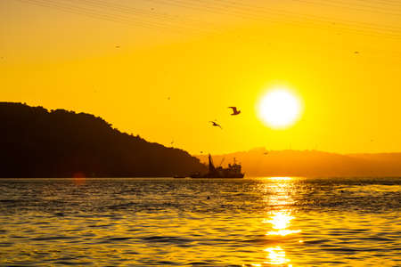 Fishing boat and seagulls at sunsetの写真素材