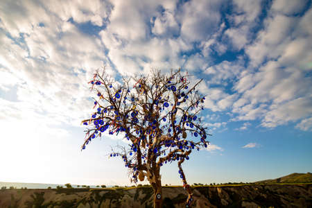 a tree full with evil eye beads in cappadocia