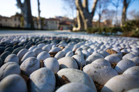 Decorative pebbles on the ground