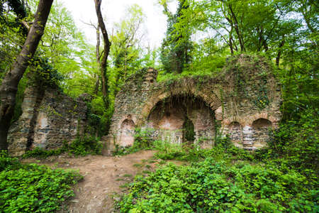 Ruins of a church in the forestの写真素材
