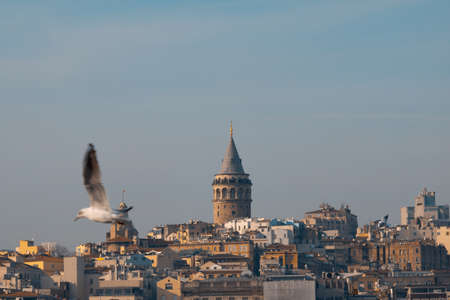 Galata Tower in Istanbulの写真素材