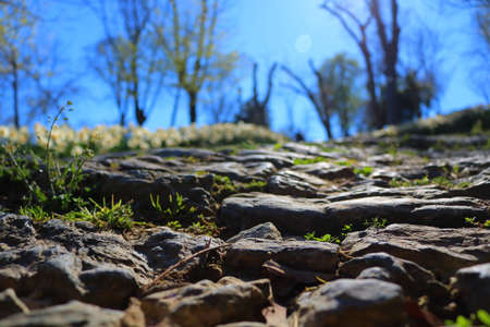 Stone road in the parkの写真素材