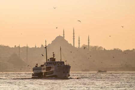 Suleymaniye Mosque and a ferry on bosphorusのeditorial素材