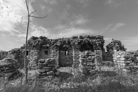 Ruins of city walls of Istanbulのeditorial素材