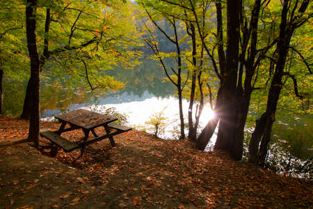 Picnic table near the lake in the forest at autumn. Picnic background photo. Outdoor background.