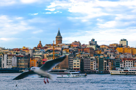 Istanbul Turkey - 2.9.2021: Galata Tower and Seagulls. Istanbul background photo. Dramatic clouds.のeditorial素材