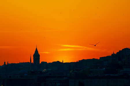 Galata Tower and Seagull at sunset. Istanbul background photo. Beauties of Istanbul. Travel to Turkey. Galata Tower background.の写真素材