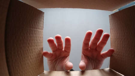 Stretching hands into the cardboard box for grab something. E-commerce shipment theme.の写真素材