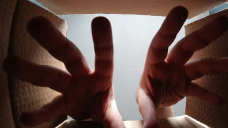 Stretching hands into the cardboard box for grab something. E-commerce shipment theme.の写真素材