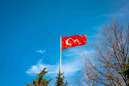Turkish Flag and trees in the bottom. Turkish nation. Turkish national days. 23 april, 19 may, 15 july, 29 october, 30 august, 10 novemberの写真素材