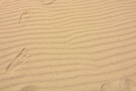 Footprints on the wavy sand in a beach with copy space. Freedom and vacation theme. Going to...