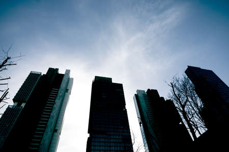 Residential and finance buildings. Silhouette of skyscrapers.
