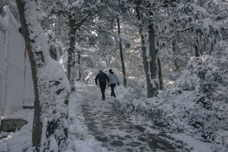 Walking in Snowy Forest. Two people walking in the snow covered forest at winter. Hiking horse winter background photo.の写真素材