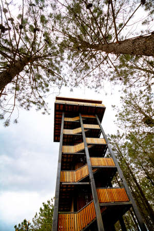 Birdwatching Tower. Bird watching observation tower in the forestの写真素材