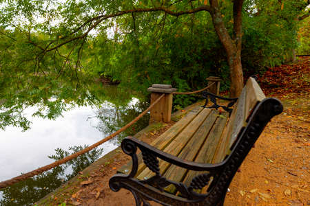 Bench in the park. An empty bench near the pond in the park at autumn. Autumn background photo. Loneliness or sadness or depression concept.の写真素材
