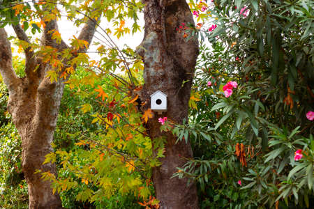white birdhouse Birdhouse on the tree in the forest. Habitat or wildlife background photo.