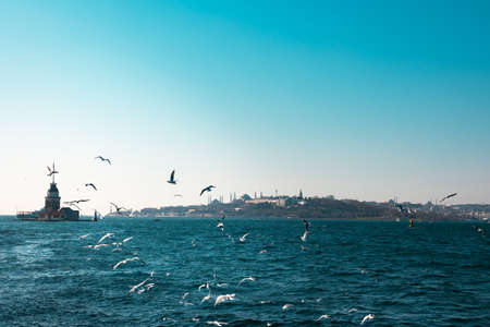Istanbul background. Maiden's Tower and cityscape of Istanbul with seagulls. Travel to Turkey background photo. Selective focus on buildings.の写真素材