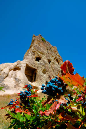 Travel to Cappadocia vertical background photo. A fairy chimney or hoodoo or fairy chimney with flowers. Goreme archaeological site in Nevsehir Turkey.の写真素材