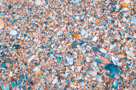 Shells, pebbles and stones on the beach from top view. Beach background photo in full frame. Nature...