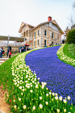 Sari Kosk or Yellow Pavilion in Emirgan Park with tulips in spring. Travel to Istanbul vertical background photo. Istanbul Turkiye - 4.16.2022のeditorial素材