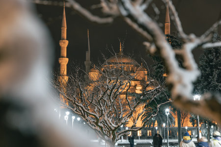 Sultanahmet Mosque and snow capped branches of a tree. Istanbul in winter. Istanbul Turkiye -...