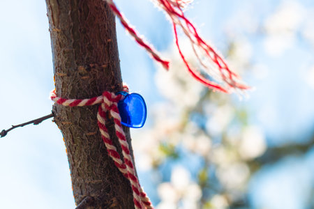 Martenitsa with blue heart shaped bead tied on the tree in focus. Balkan culture concept photo.の写真素材