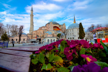 Flowers and Hagia Sophia. Visit Istanbul background photo. Istanbul Turkiye - 3.16.2021のeditorial素材