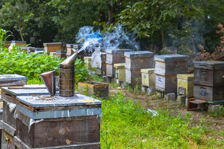 Apiculture or beekeeping background photo. A bee smoker on the beehive in the apiary.の写真素材