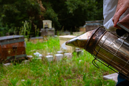 Bee smoker on the hands of the beekeeper in apiary. Apiculture or beekeeping background photo.
