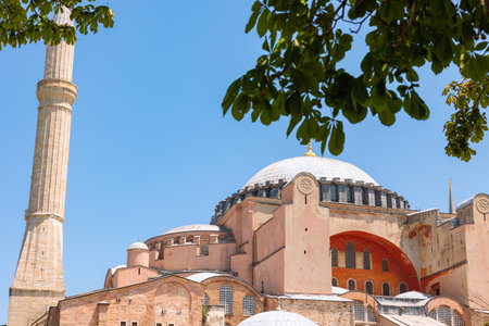 Hagia Sophia or Ayasofya Mosque exterior view with a tree in the summer. Travel to Istanbul...