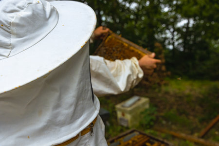 Beekeeping or apiculture background photo. Beekeeper with protective suit from behind and another...