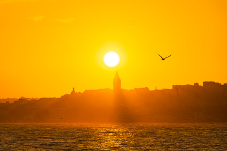 Galata Tower view at sunset with shadow in the haze and seagull on the sky. Visit Istanbul background photo.の写真素材